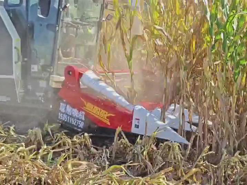 喜盈盈多功能雜糧割臺(tái)收割效果視頻