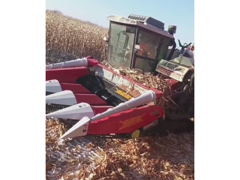 喜盈盈多功能雜糧割臺(tái)收割效果視頻